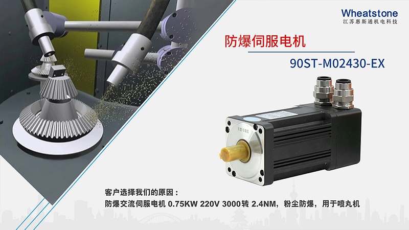 90ST-M02430-EX防爆伺服電機(jī)-噴丸機(jī)