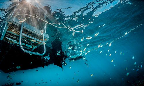 水下設(shè)備 水下設(shè)備