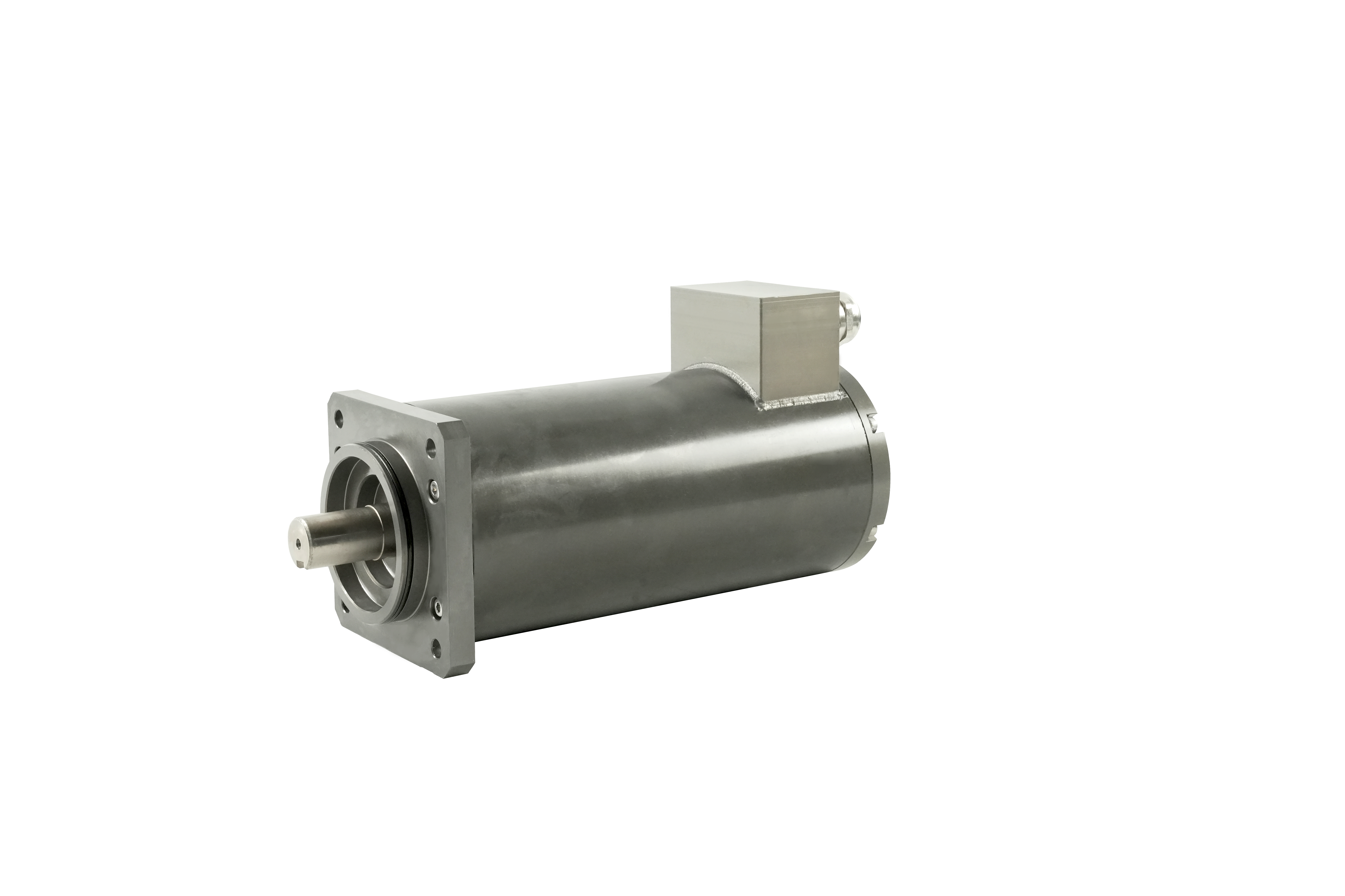 水下減速直流伺服電機(jī)